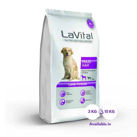 LaVital Maxi Adult – Lamb